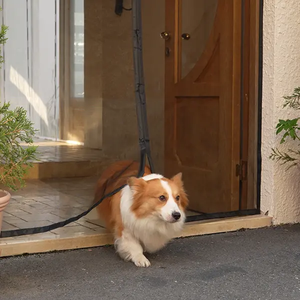 Pet-Proofing Your Magnetic Screen Door: Tips for Dogs and Cats That Push Through